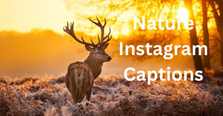 Nature Instagram Captions